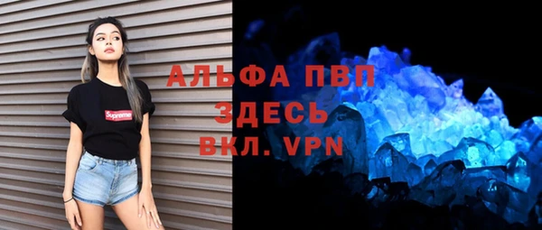 сатива Аркадак