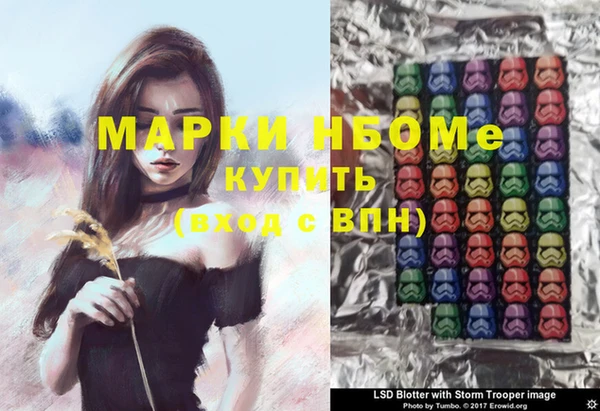 сатива Аркадак