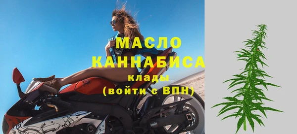 сатива Аркадак
