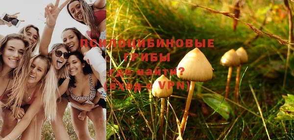 сатива Аркадак