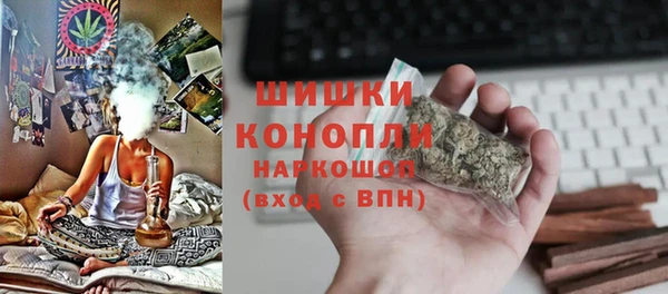 ешки Снежногорск