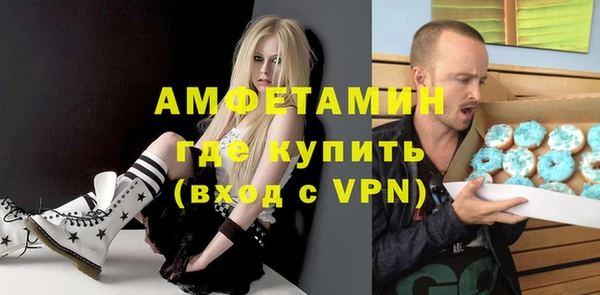 сатива Аркадак