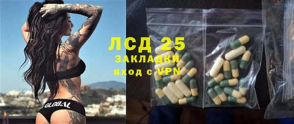ПСИЛОЦИБИНОВЫЕ ГРИБЫ Алзамай